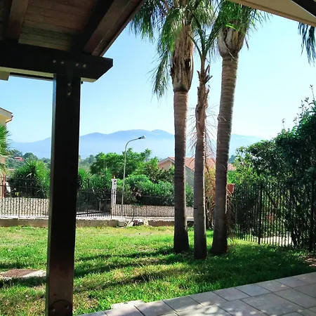 Alvarado - Your In Sicily