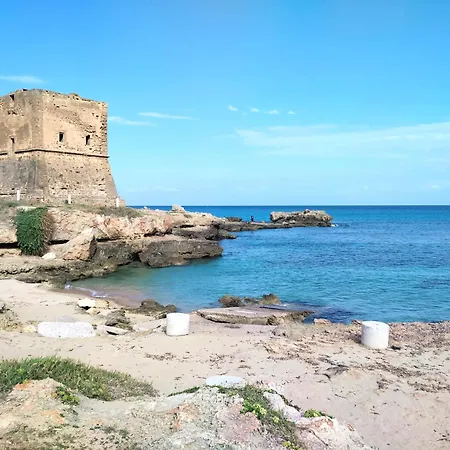 Alvarado - Your In Sicily Carini